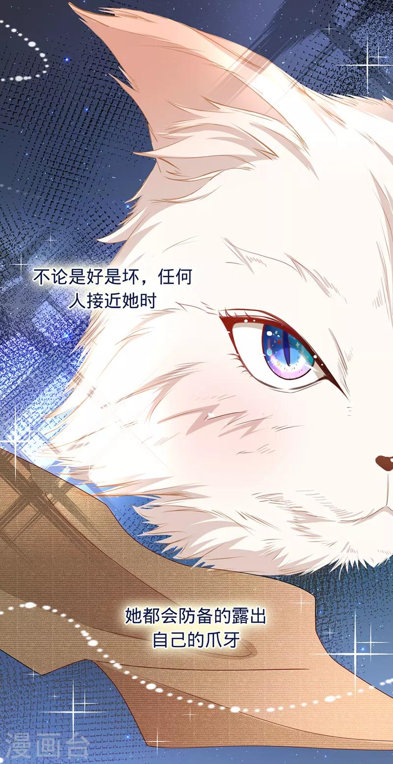第9话 令人心疼的小猫咪-第10话