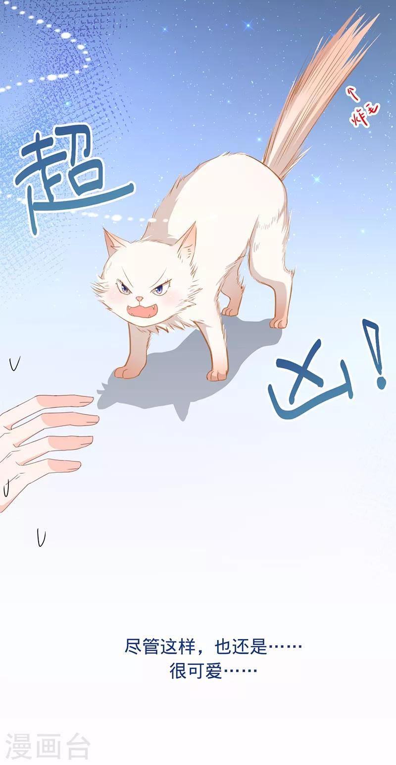 第9话 令人心疼的小猫咪-第10话