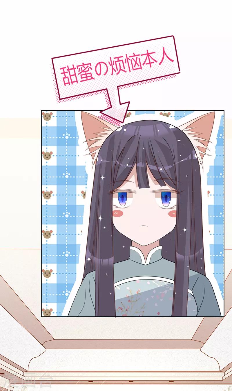 第9话 令人心疼的小猫咪-第10话