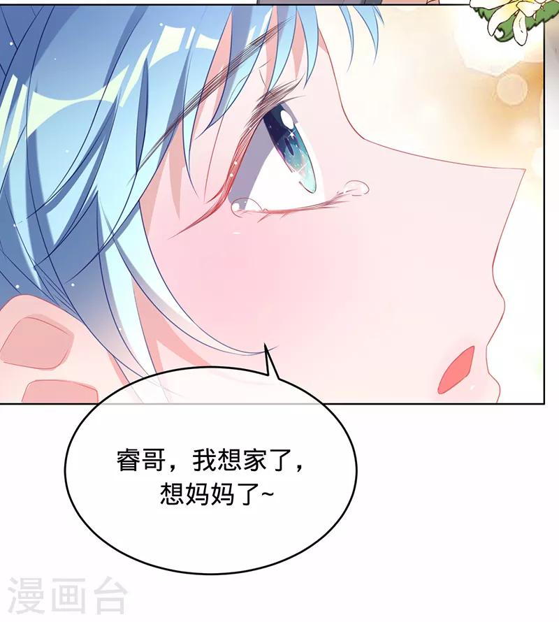第9话 令人心疼的小猫咪-第10话
