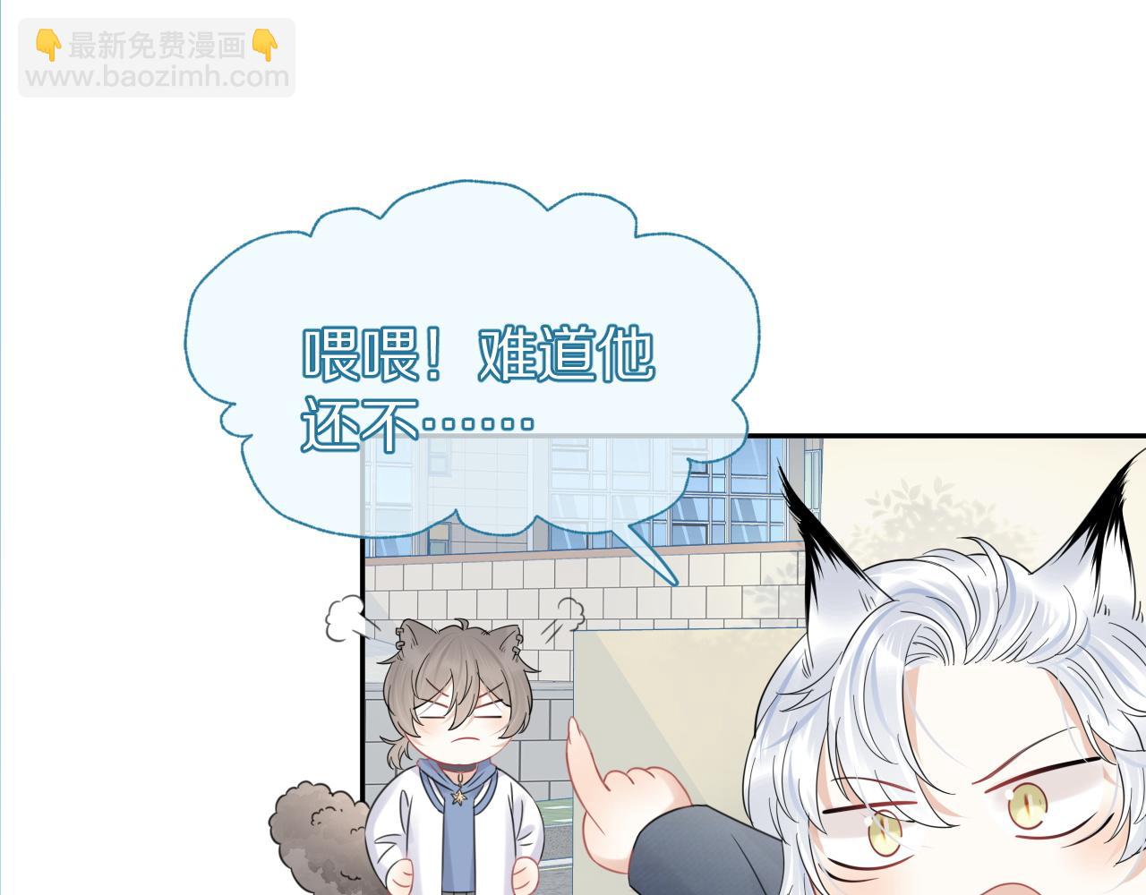 第37话 这个猞猁好烦人(1/3)-第38话
