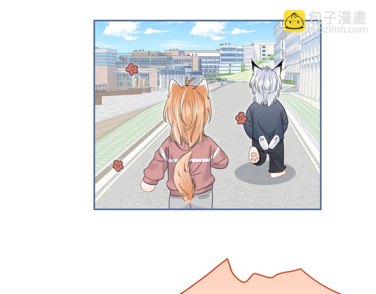 第37话 这个猞猁好烦人(1/3)-第38话