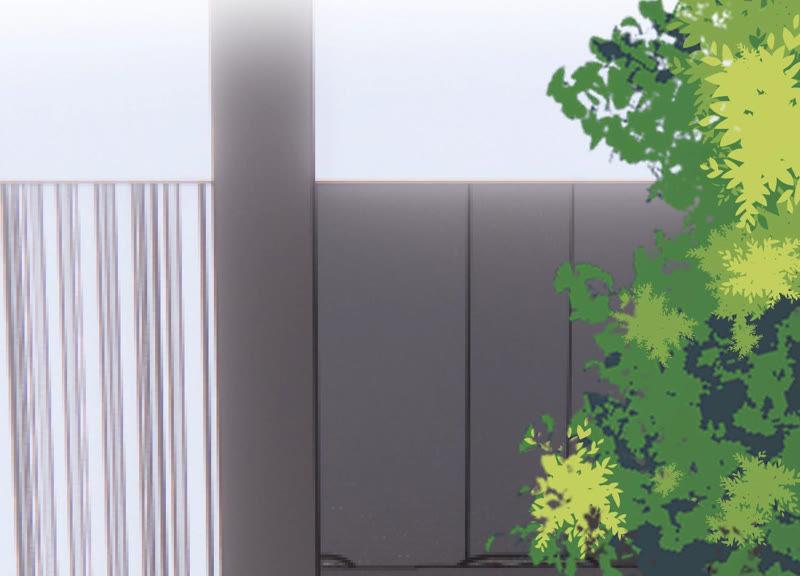 第195话 我要当爸爸了？(1/2)-第196话