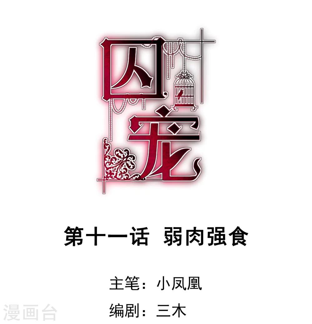 第11话-第12话