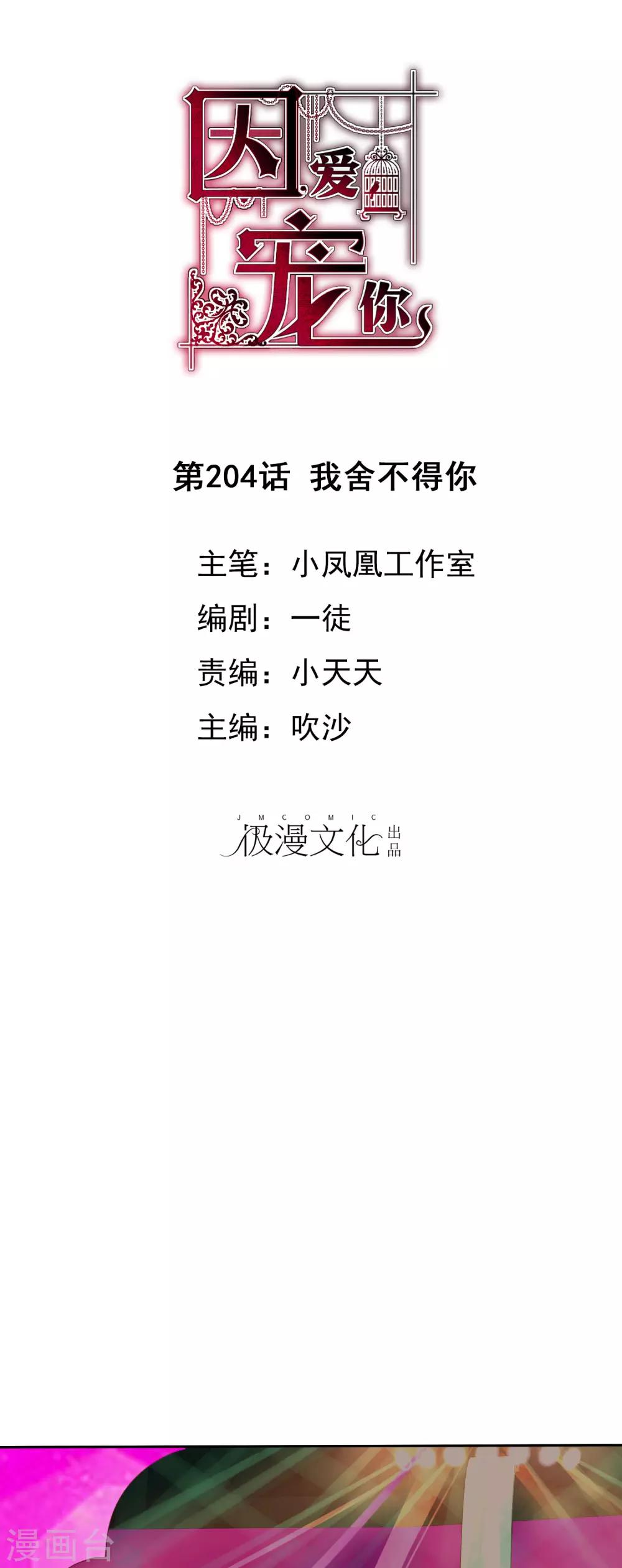 第204话-第208话