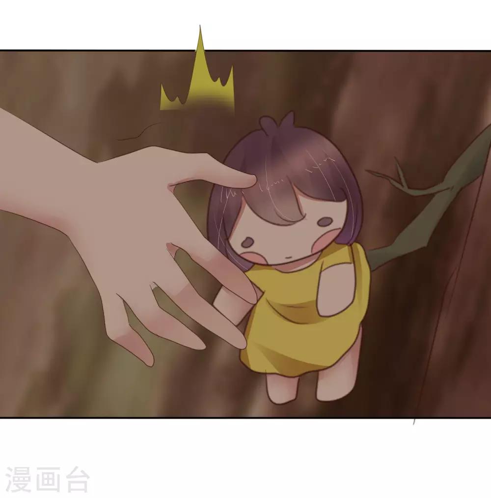 第339话-第354话
