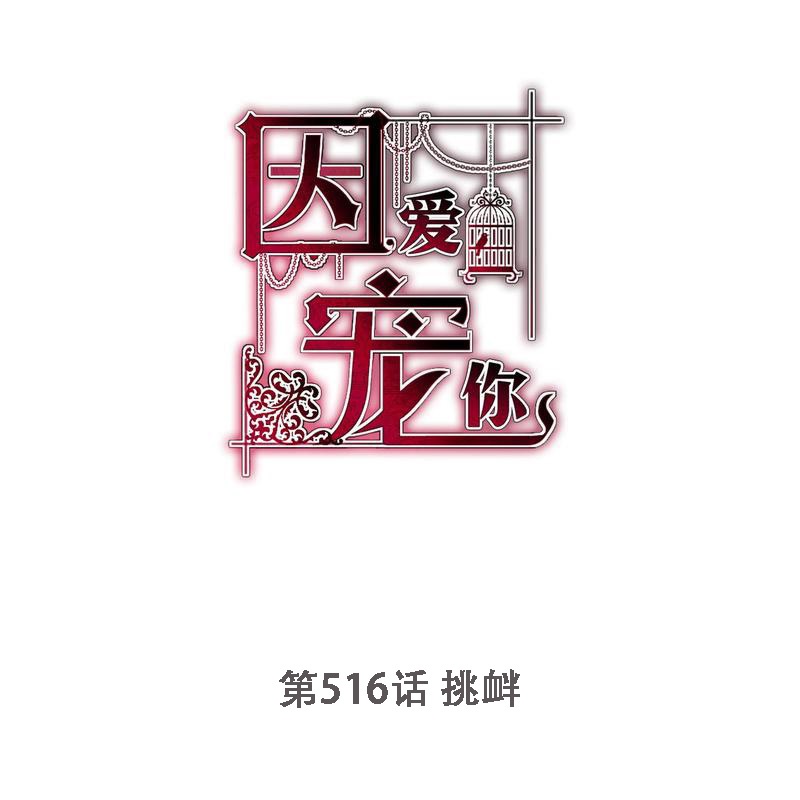 第516话-第538话