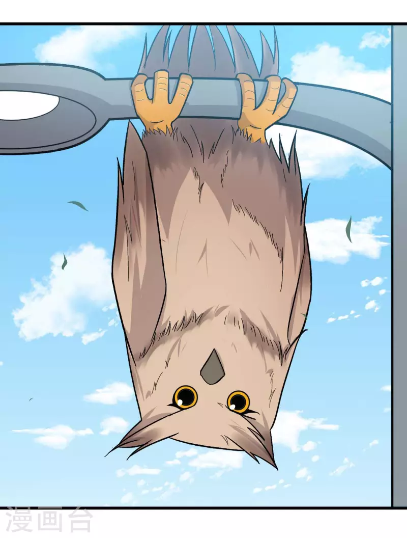 第219话 猫头鹰不是猫系？-第222话