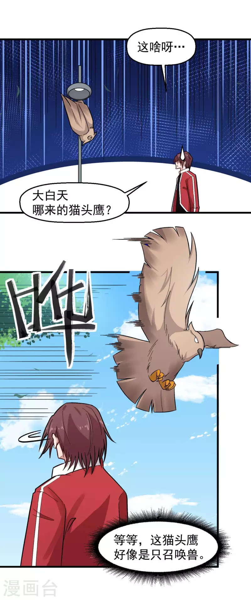 第219话 猫头鹰不是猫系？-第222话