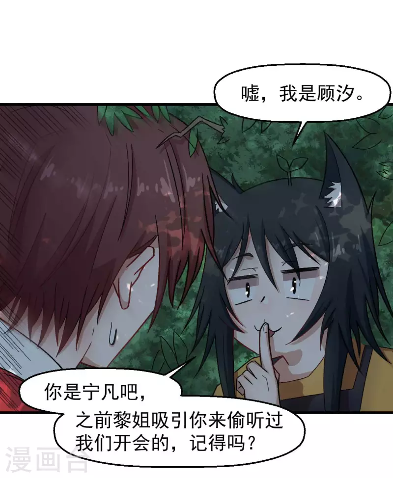 第219话 猫头鹰不是猫系？-第222话