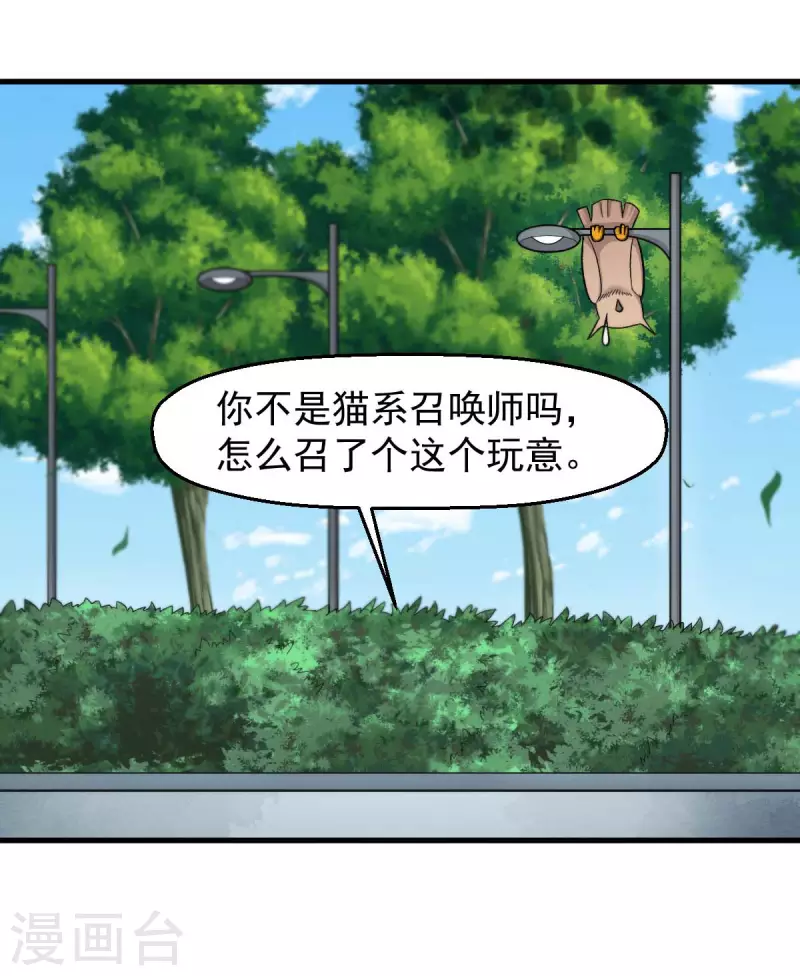 第219话 猫头鹰不是猫系？-第222话