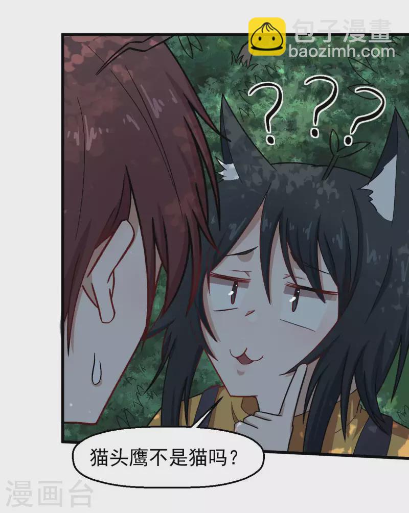 第219话 猫头鹰不是猫系？-第222话