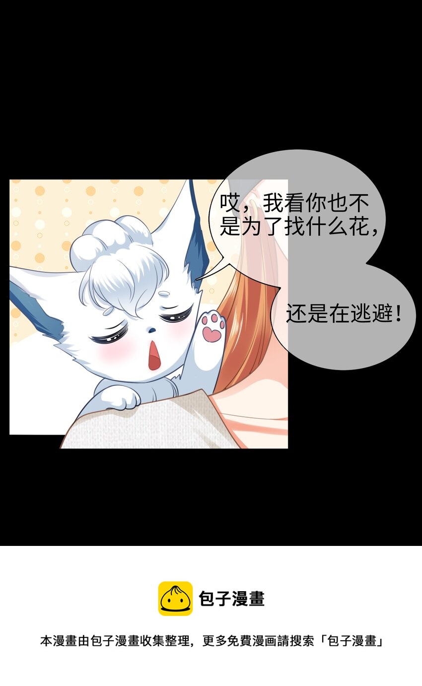 004餐 战斗鸡!(1/2)-第4话