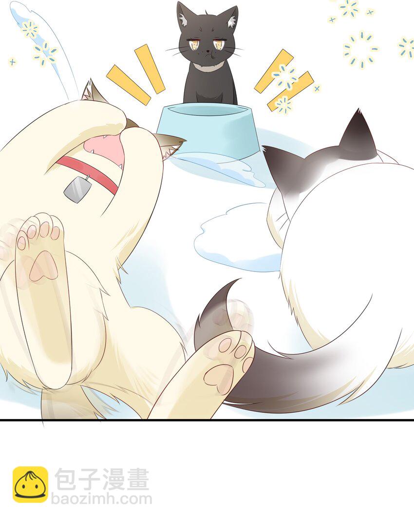 012 说好的管饭呢？(1/2)-第14话