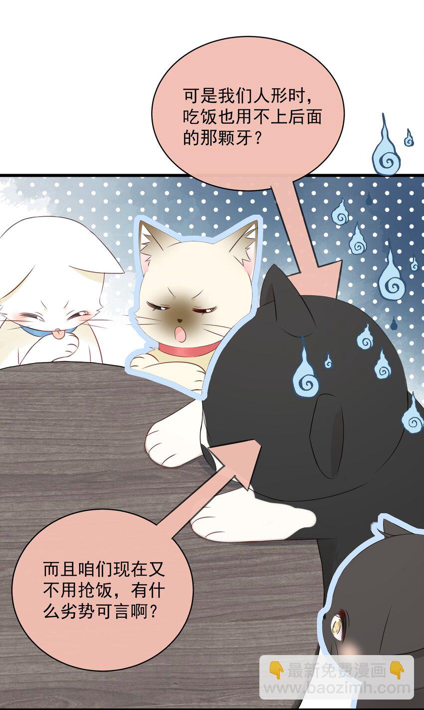 027 猫咪的圆桌会议-第30话