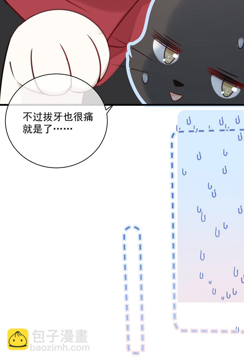 027 猫咪的圆桌会议-第30话