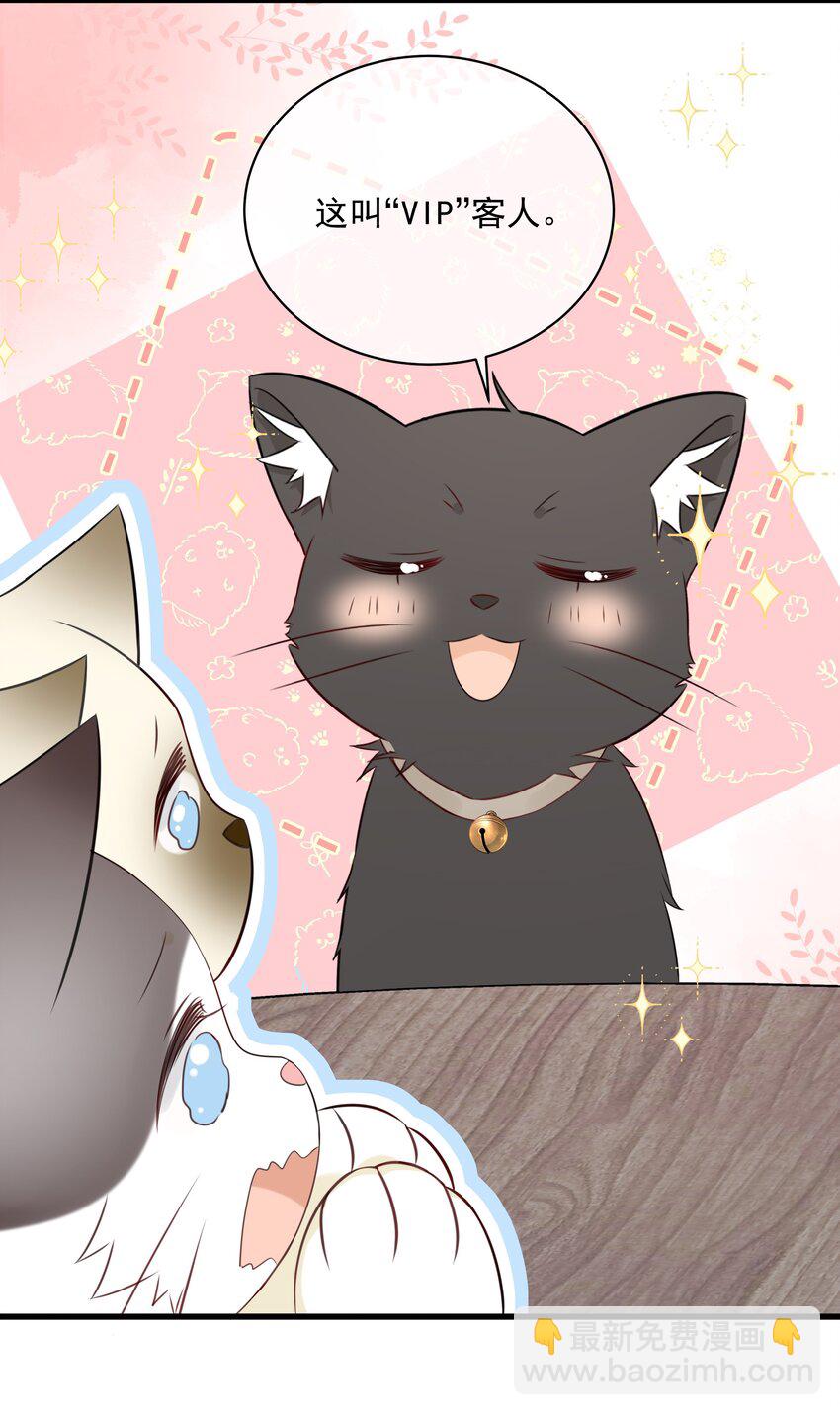 027 猫咪的圆桌会议-第30话