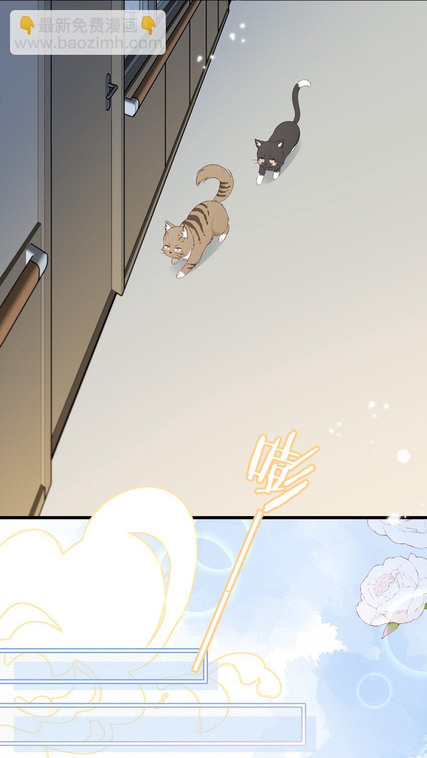 027 猫咪的圆桌会议-第30话