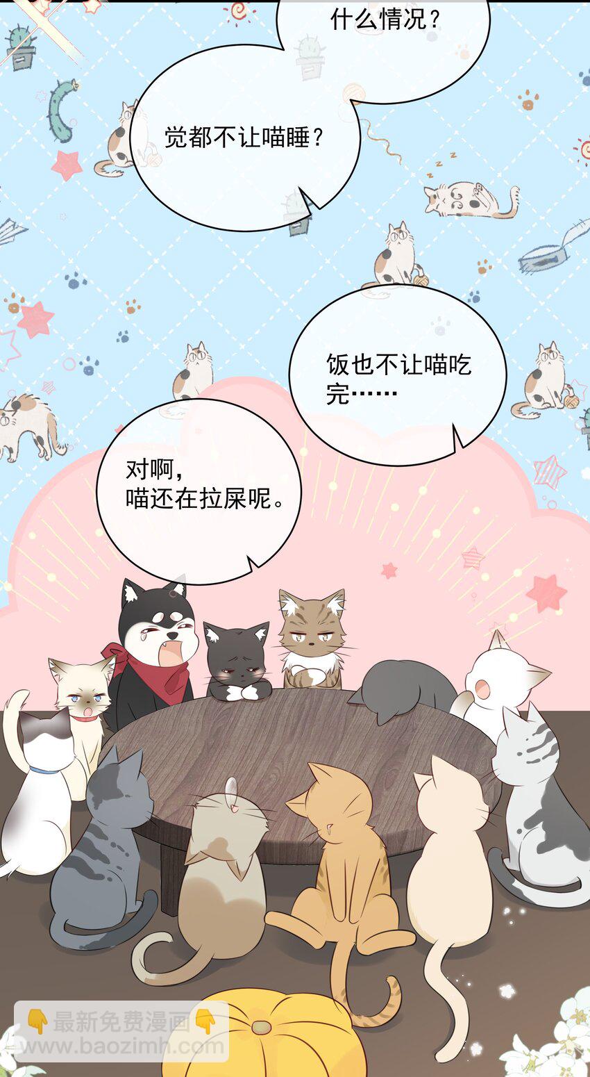 027 猫咪的圆桌会议-第30话