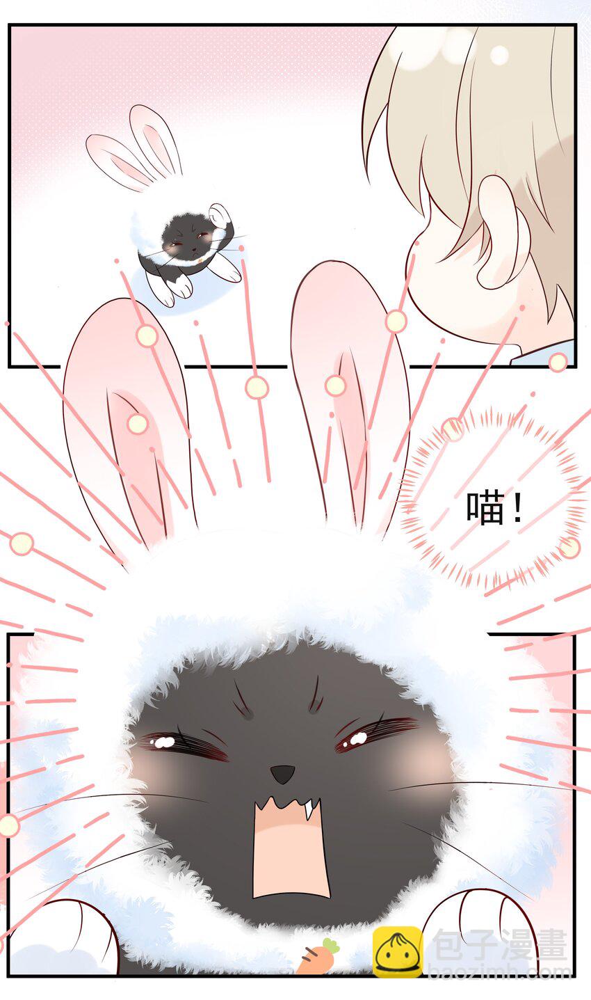 027 猫咪的圆桌会议-第30话