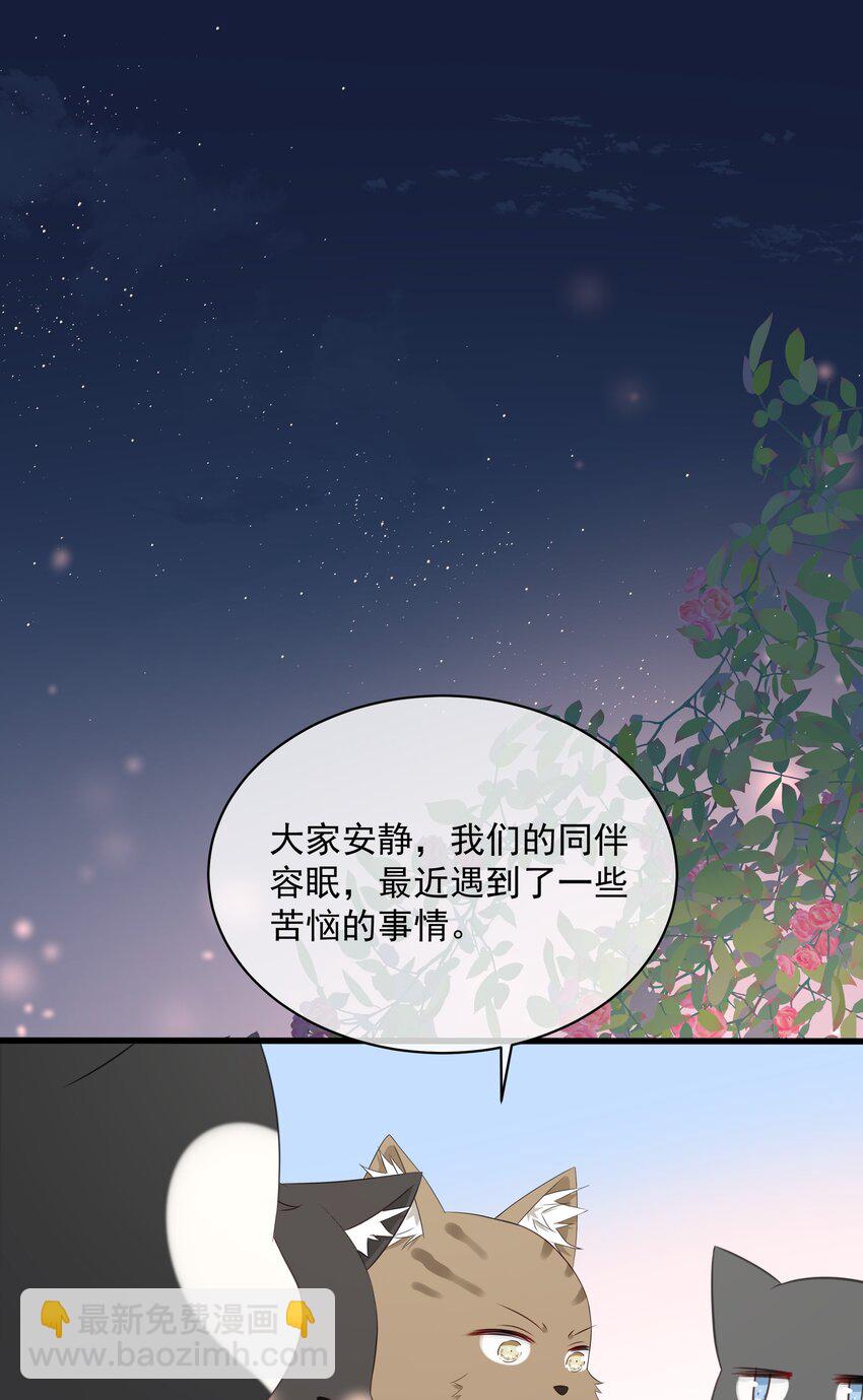 027 猫咪的圆桌会议-第30话