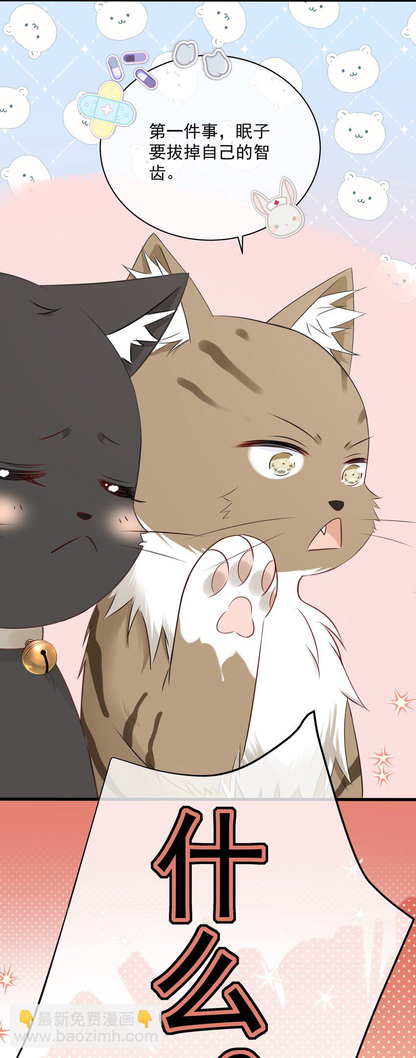027 猫咪的圆桌会议-第30话