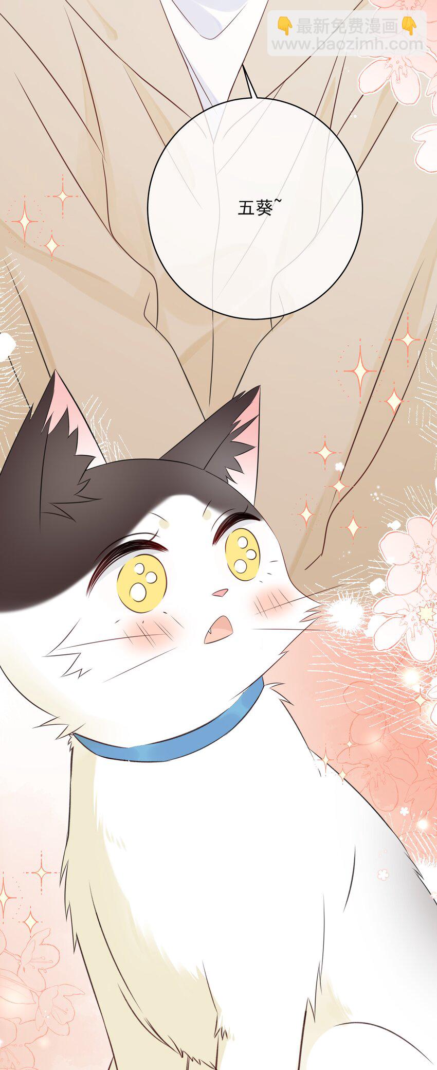 番外1 养猫轶事(1/2)-第60话