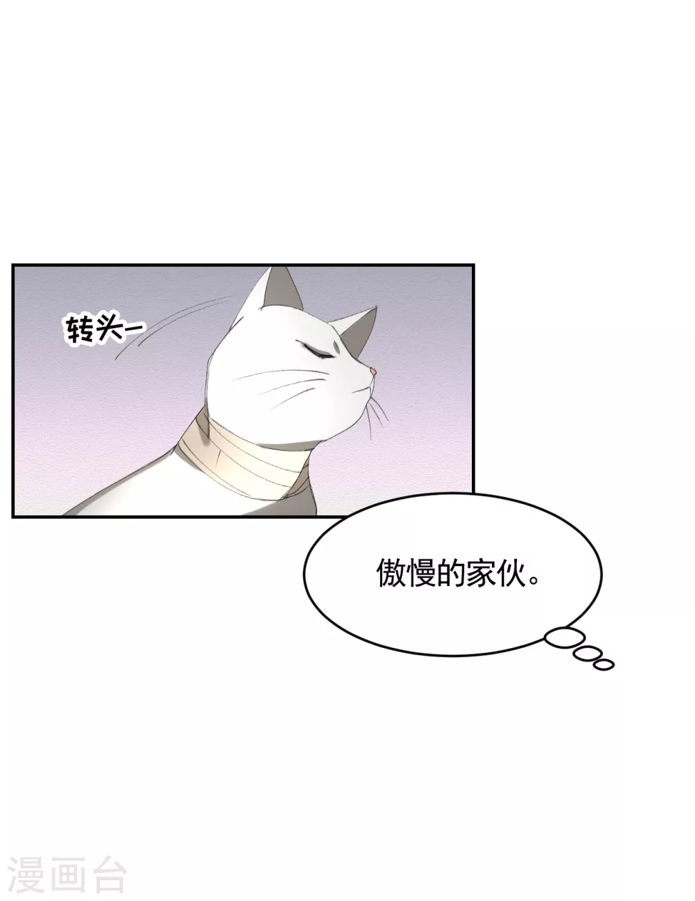 第16话 寻找目击者(1/2)-第16话