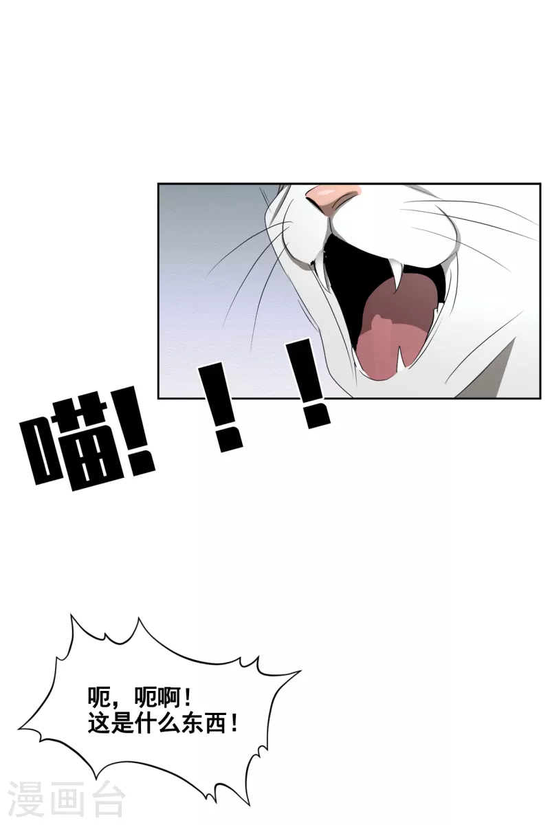 第38话 朴警官得知影子身世(1/2)-第38话