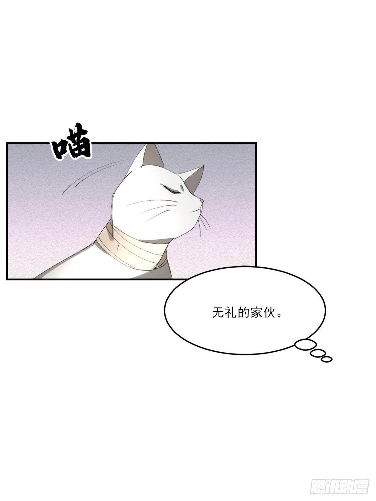 第16话  调查(1/2)-第16话