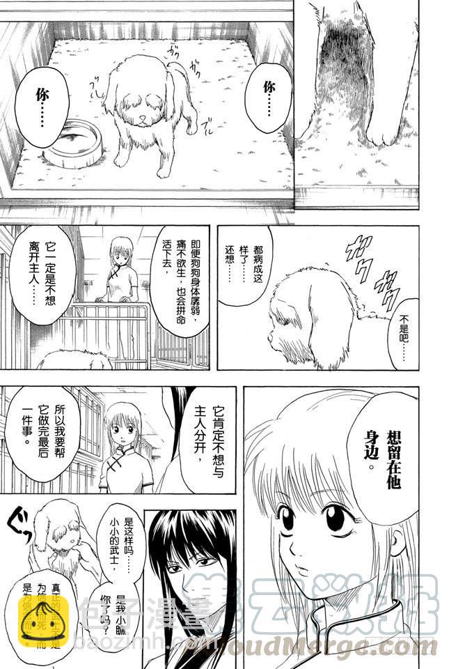 🍜银魂 第207话 注意不要在路上随便捡东西吃 第11页