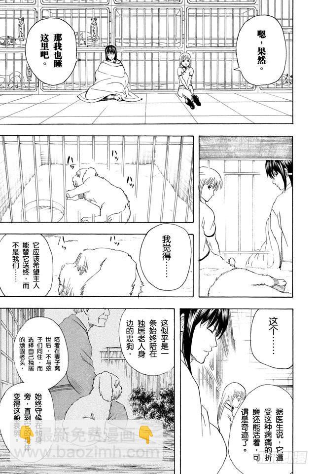 🍜银魂 第207话 注意不要在路上随便捡东西吃 第9页