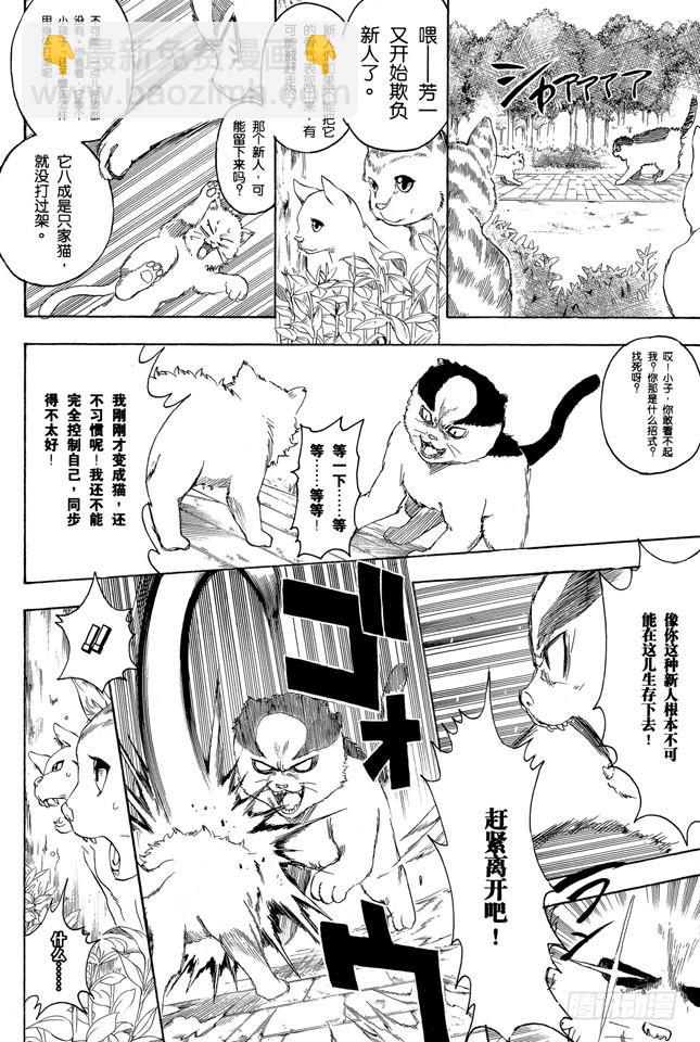 🍜银魂 第275话 找东西的时候应该站在对方的立场，设身处地地找 第12页