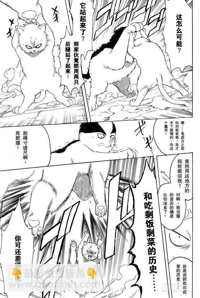 🍜银魂 第275话 找东西的时候应该站在对方的立场，设身处地地找 第13页