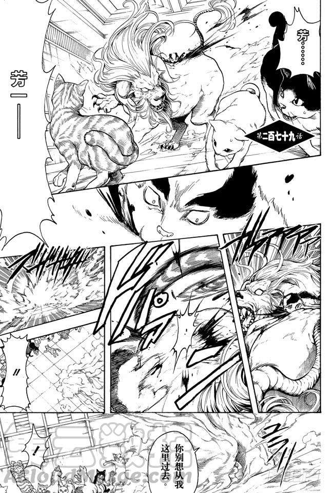 🍜银魂 第279话 野猫哀歌 第1页