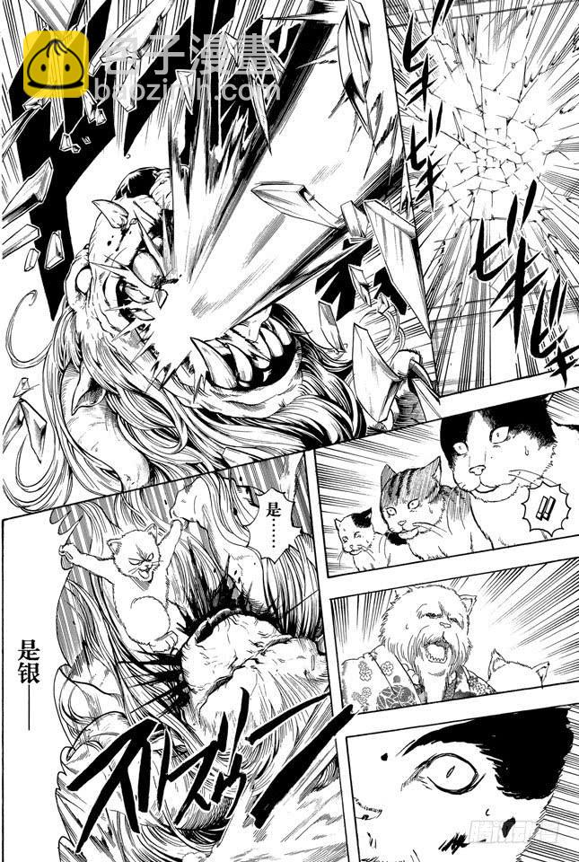🍜银魂 第279话 野猫哀歌 第10页