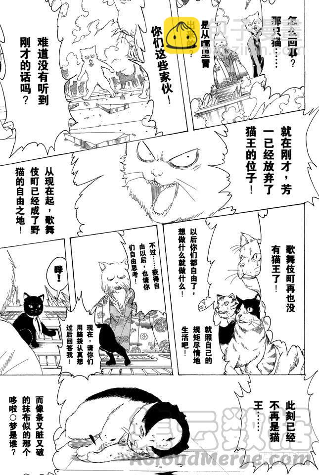 🍜银魂 第279话 野猫哀歌 第11页