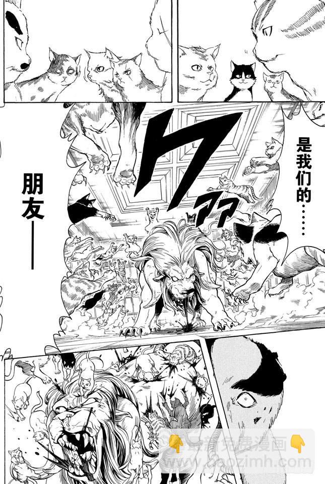 🍜银魂 第279话 野猫哀歌 第12页