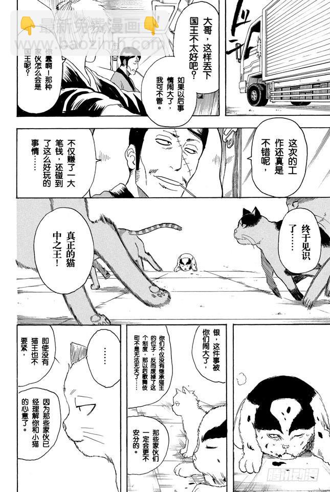 🍜银魂 第279话 野猫哀歌 第14页
