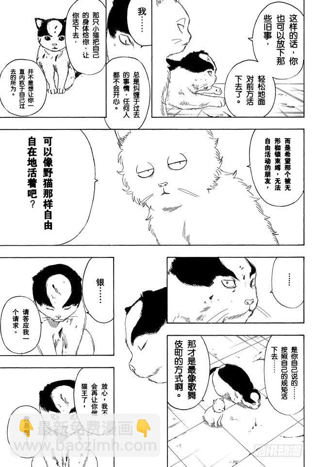 🍜银魂 第279话 野猫哀歌 第15页