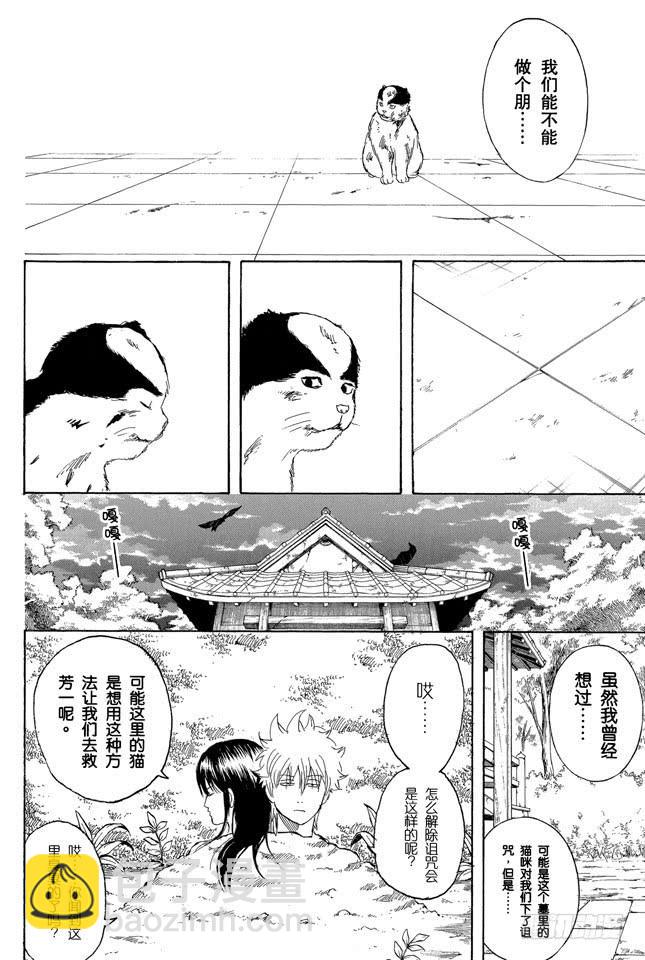 🍜银魂 第279话 野猫哀歌 第16页