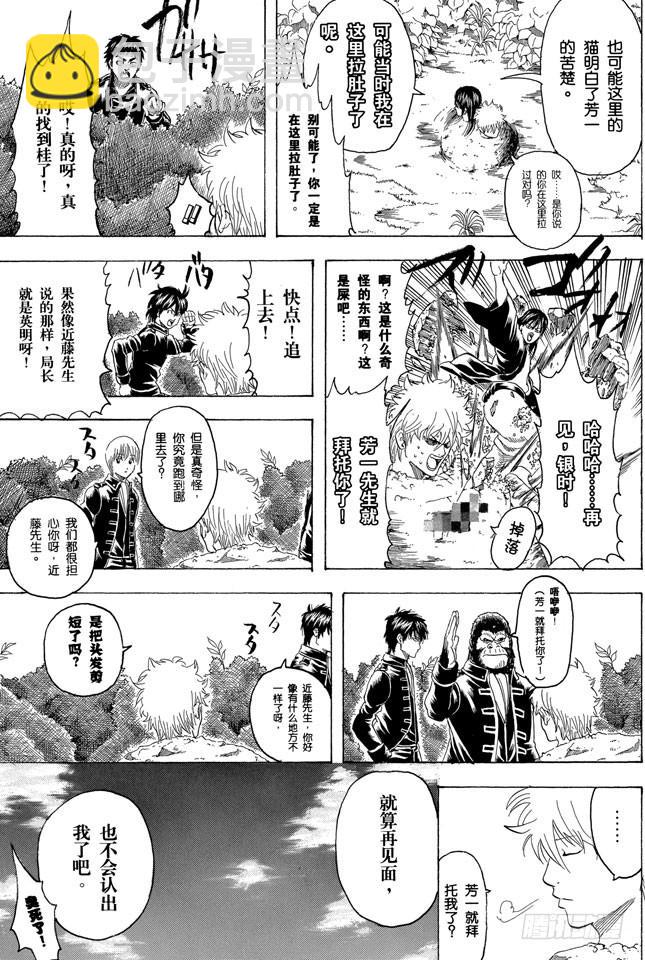 🍜银魂 第279话 野猫哀歌 第17页
