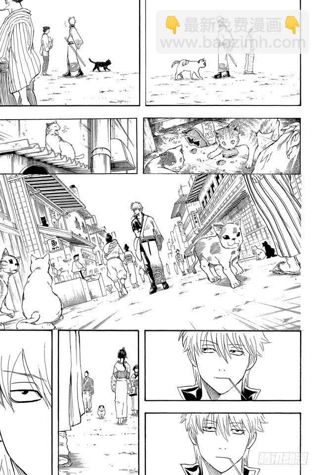 🍜银魂 第279话 野猫哀歌 第19页
