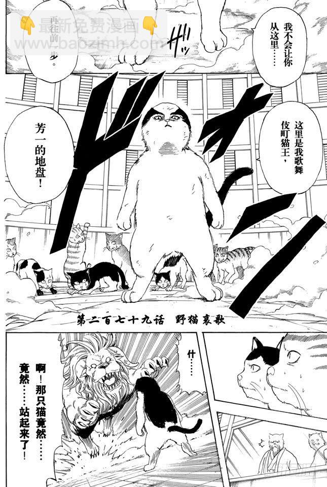 🍜银魂 第279话 野猫哀歌 第2页