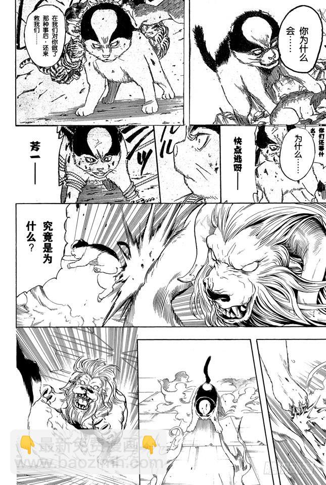 🍜银魂 第279话 野猫哀歌 第4页