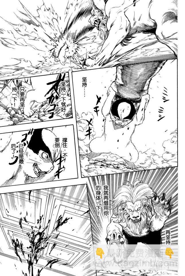 🍜银魂 第279话 野猫哀歌 第5页