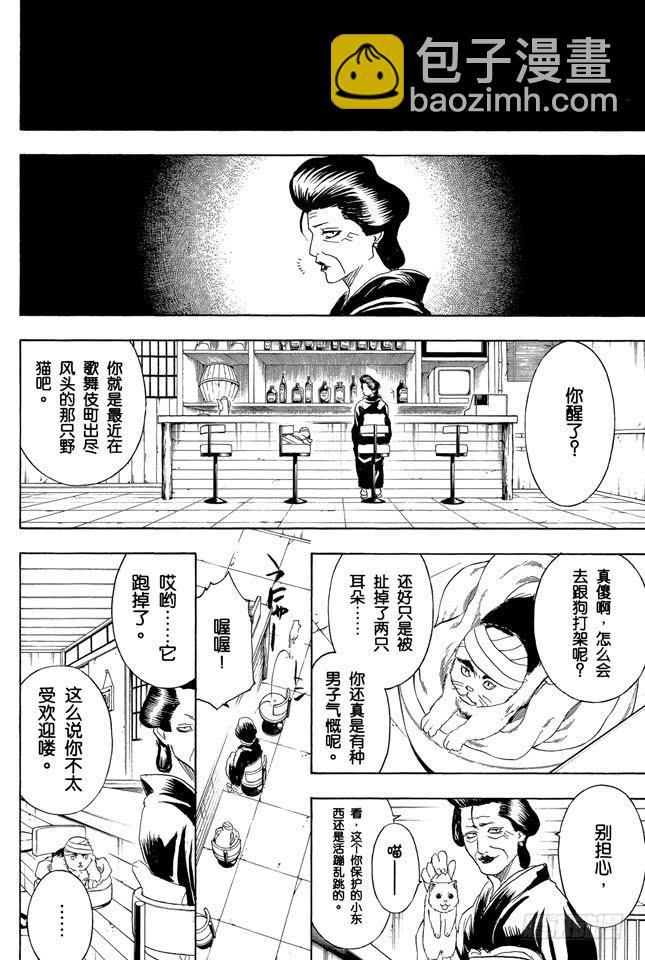 🍜银魂 第279话 野猫哀歌 第6页