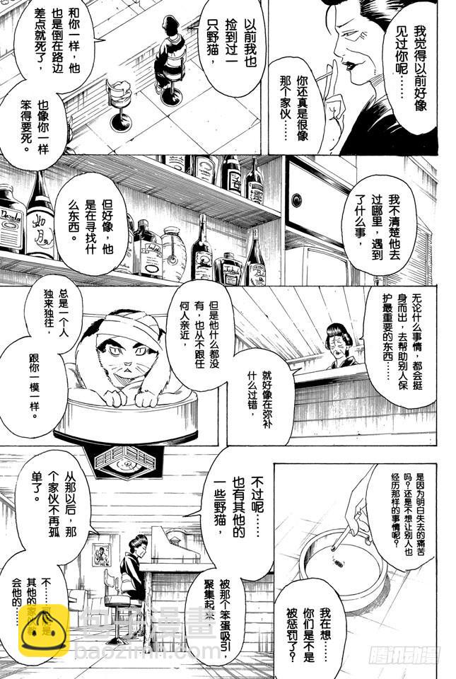 🍜银魂 第279话 野猫哀歌 第7页