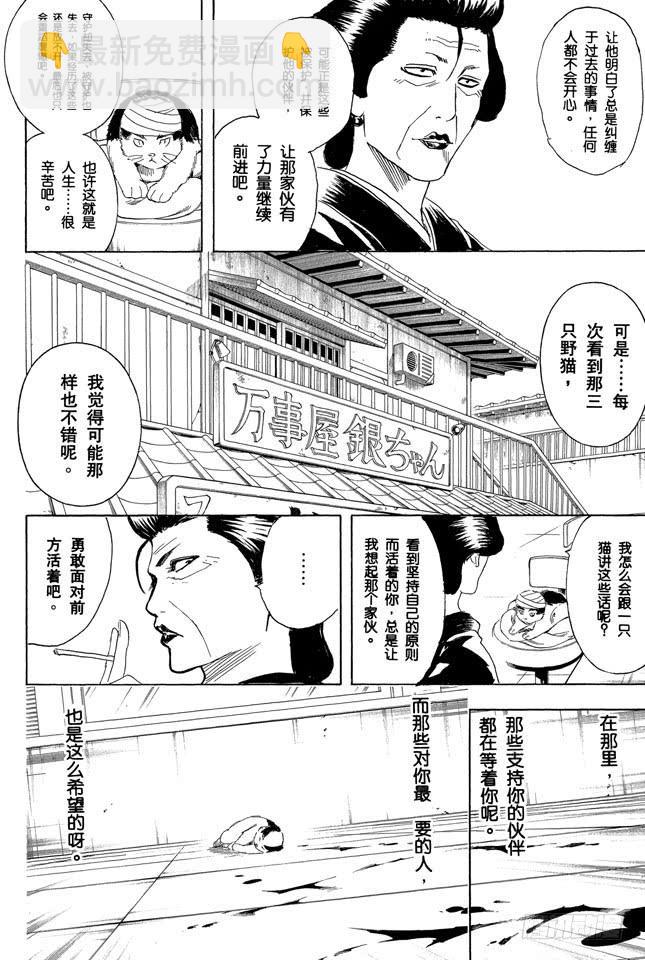 🍜银魂 第279话 野猫哀歌 第8页