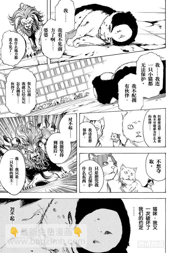 🍜银魂 第279话 野猫哀歌 第9页